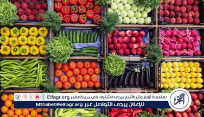 أسعار الخضروات اليوم الجمعة 15-5-2025 في قنا