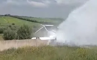 طيار يقدم حياته لإنقاذ سلحفاة من الدهس على runway الطائرات