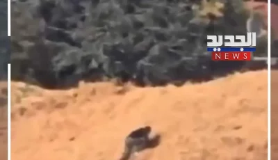 هروب جريء في مطار بولونيا.. مغربي ي thwart عملية ترحيله (فيديو)
