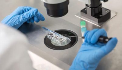 لضبط البويضات والنطف.. مصر تتحرك لحسم جدل الإخصاب وتأجير الأرحام