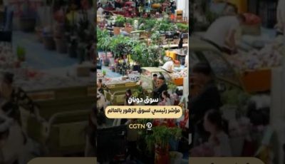 سوق دونان.. مؤشر رئيسي لسوق الزهور بالعالم