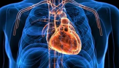 5 عادات يومية تقيك من الإصابة بأزمات قلبية