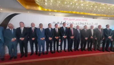 فرحتنا بمشاركة الأحزاب والكيانات السياسية في مستقبل وطن