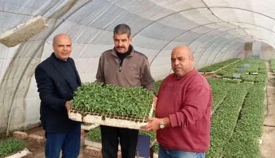 تصدير 1.2 مليون شتلة من الفراولة و343 ألف ثمرة فاكهة