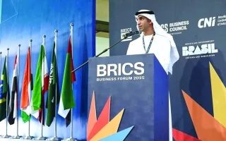 الإمارات تبرز إمكانيات الشراكة التجارية بين دول «بريكس»