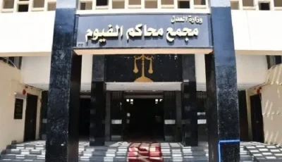 ثمانية مرشحين، من بينهم امرأة، يتصارعون على مقاعد الشيوخ الفردية في الفيوم
