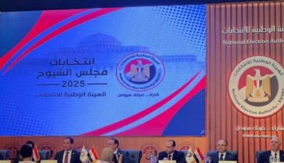 شروط الترشح لمجلس الشيوخ 2025.. كل ما تريد معرفته