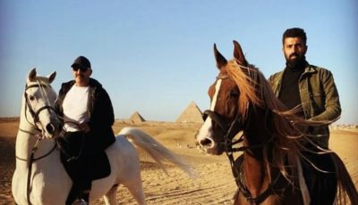 أمام الأهرامات وعلى صهوة الخيل.. محمد سامي يوجه رسالة خاصة للسقا