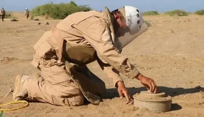 مشروع “مسام” ينزع 1.559 لغمًا من الأراضي اليمنية خلال أسبوع