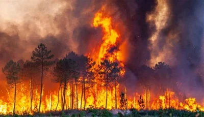تركيا.. 761 حريقًا خلال 10 أيام وتدمير قرى في إزمير