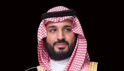 ولي العهد يبحث تعزيز العلاقات الثنائية مع المستشار الألماني 