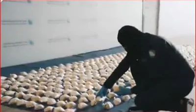 المنافذ الجمركية بكوادرها وتقنياتها الأمنية تحبط كافة محاولات التهريب