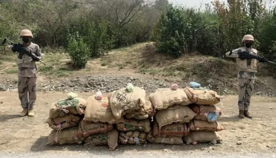 حرس الحدود بتبوك يحبط تهريب 26 كيلوجرامًا من الحشيش المخدر