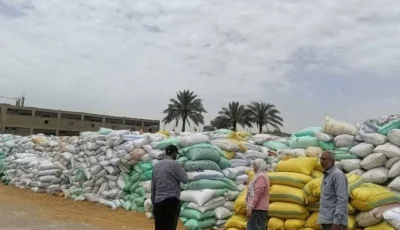 منذ انطلاق موسم الحصاد… صوامع وشون المنطقة الشرقية تستقبل 600,305 طن و 687 كيلو من القمح المحلي.