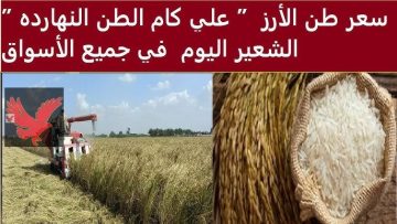 بكام رفيع وعريض الحبة.. سعر طن الأرز الشعير اليوم الخميس 17 يوليو في الأسواق المحلية
